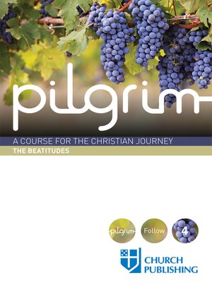 cover image of Pilgrim